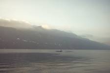 Damien LEMAIRE - DAMIEN LEMAIRE